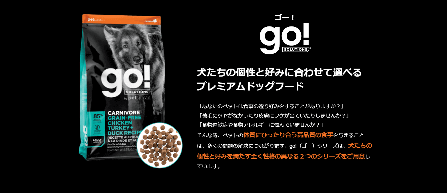 go!ソリューションズ