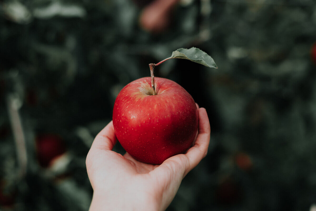 りんごに含まれる栄養素と効果
