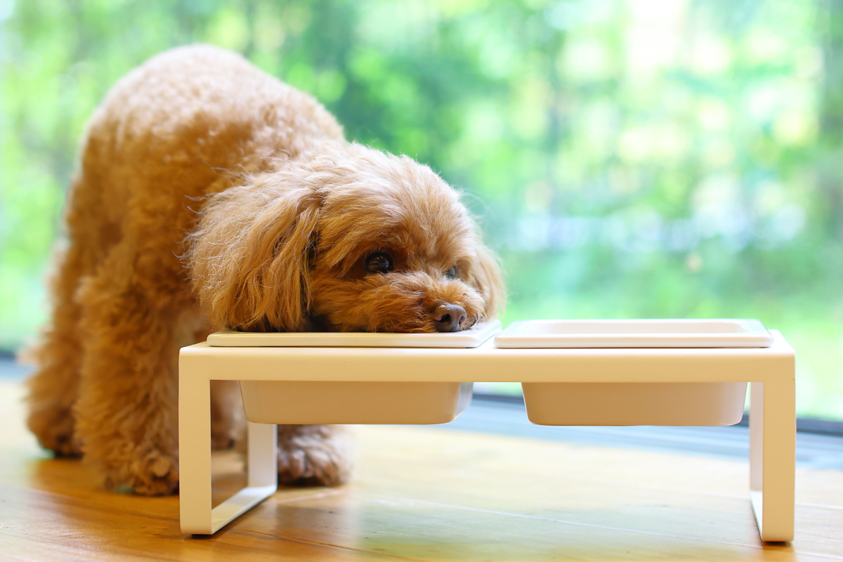 食事内容の見直し