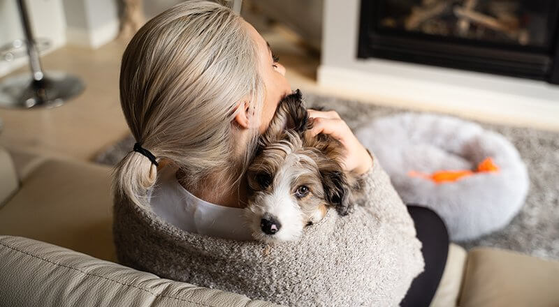 犬 飼う メリット