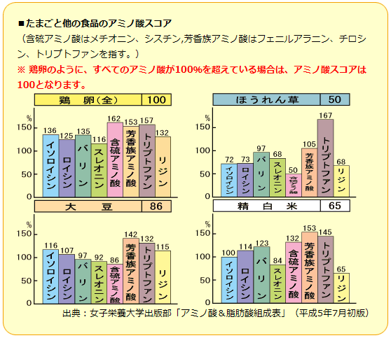 プレミアムドッグフードの原材料とは？NOW FRESH™で解説｜プレミアムドッグフード・キャットフードのGPN