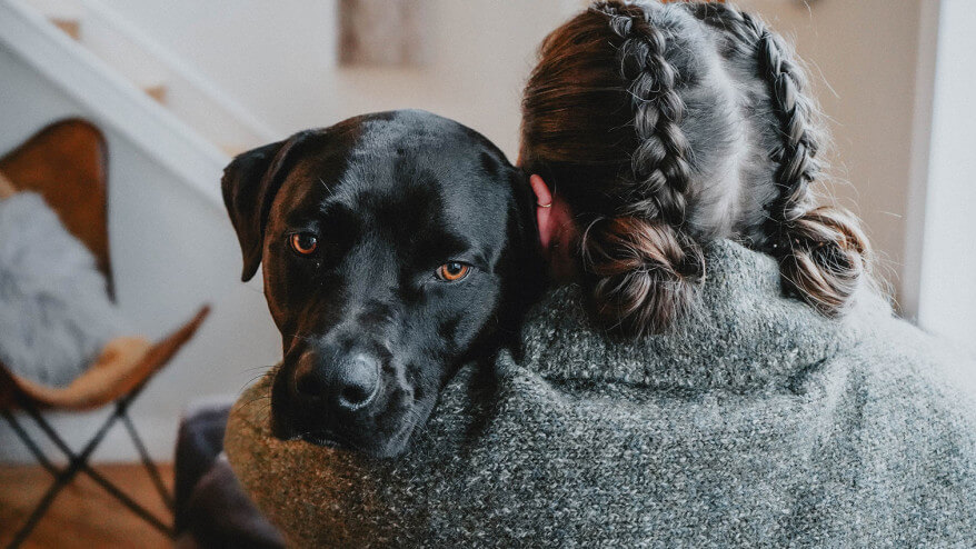 犬 ストレス