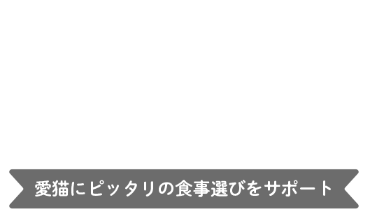 キャットフードを探す