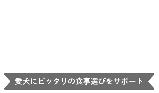 ドッグフードを探す