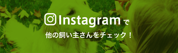 インスタグラム