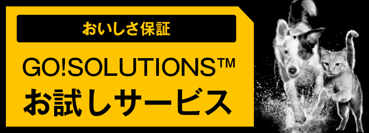 GO!SOLUTIONS お試しサービス