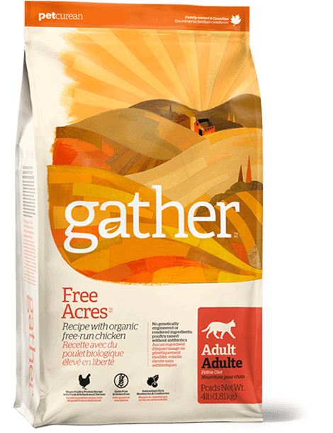 gather 猫用