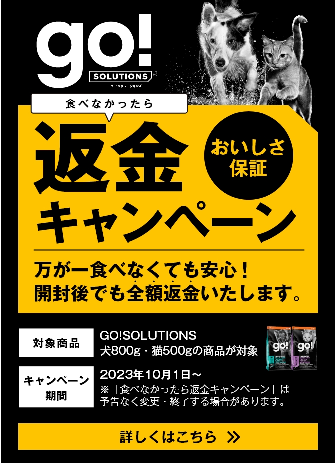 GO!SOLUTION返金キャンペーン