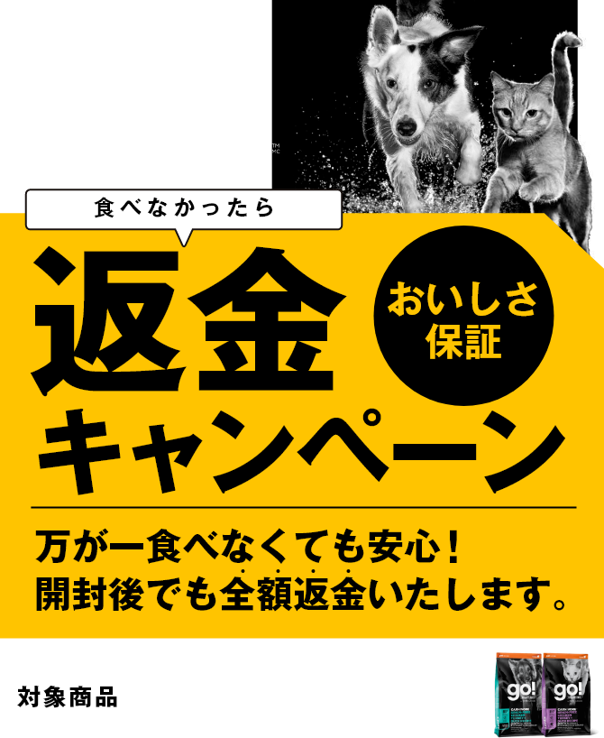 GO!SOLUTIONS 食べなかったら返金キャンペーン