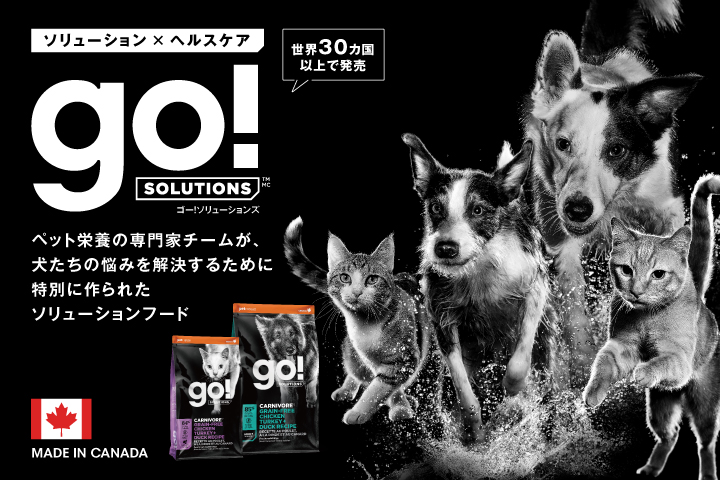 ゴーソリューション