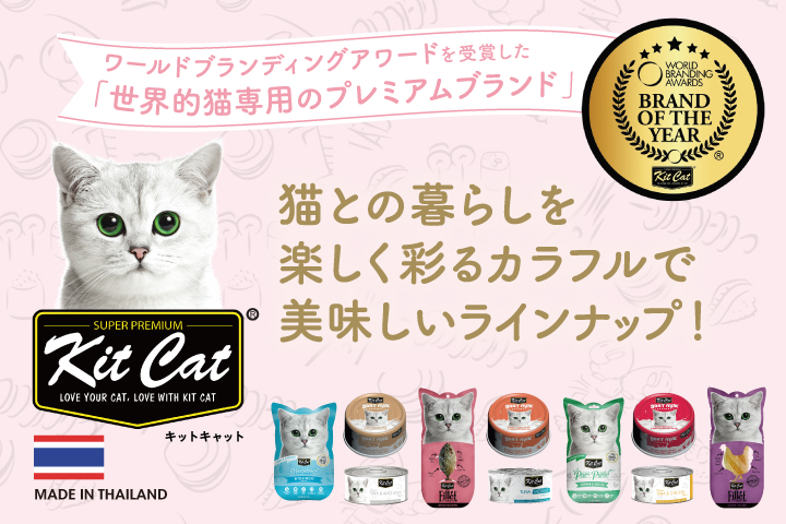kitcat
