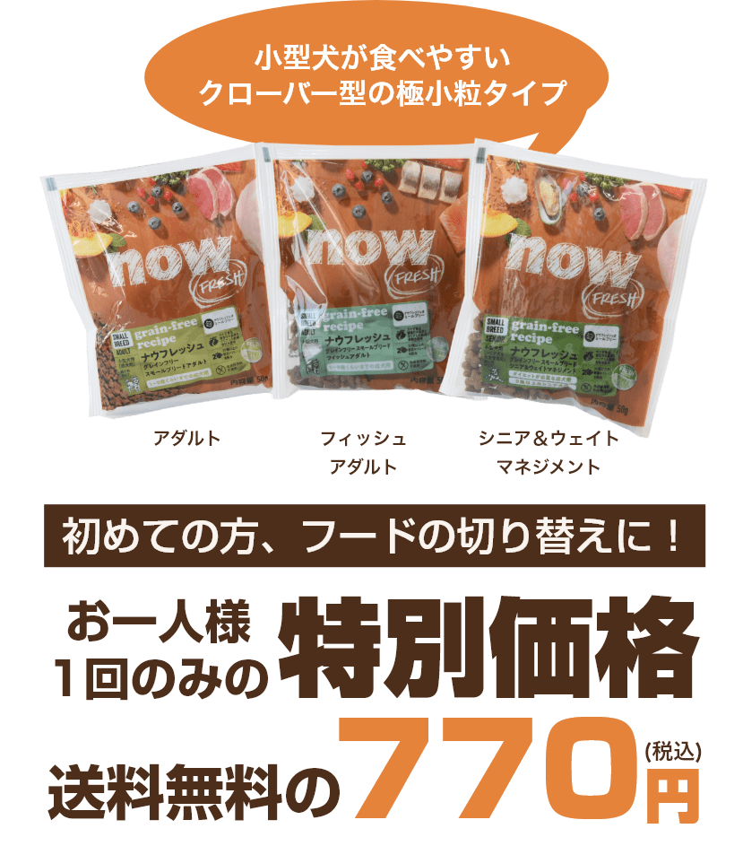 送料無料770円（税込）