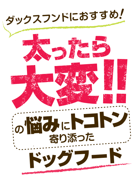 ダックスフンドにおすすめ ドッグフード